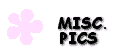 Miscellaneous Pictures